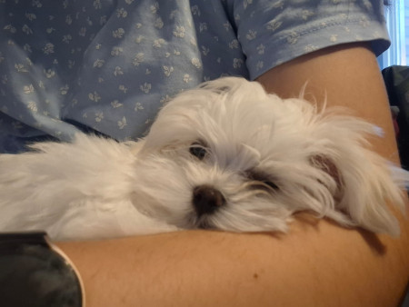 30-9-25 lekker bij mama in haar armen